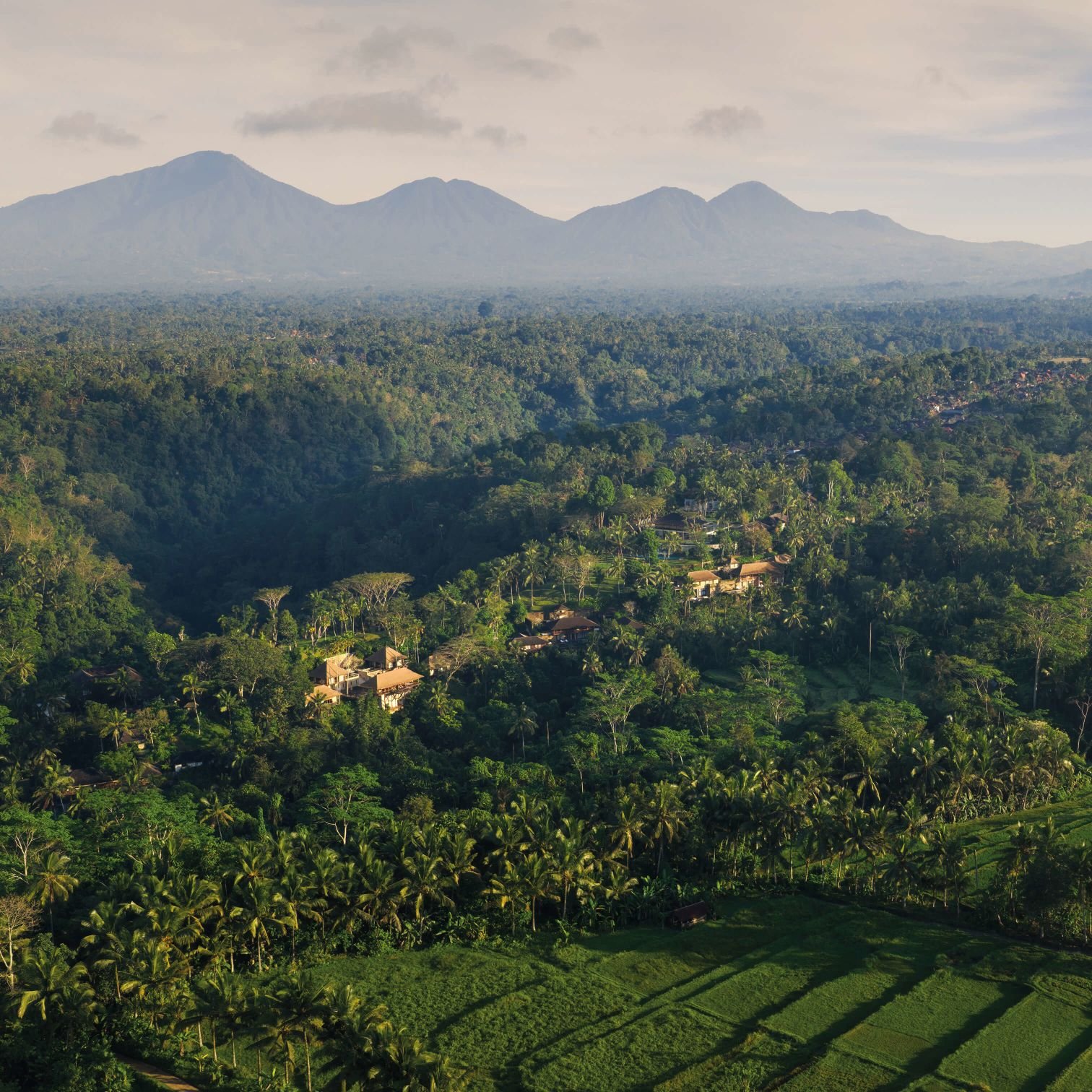 COMO Shambhala Estate area near Ubud, aerial jungle and river view